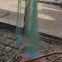 rete da pesca barracuda