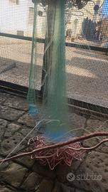 rete da pesca barracuda