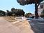 Immagine 9
