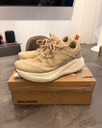 Salomon aero glide 3 gravel