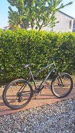 Mountain bike