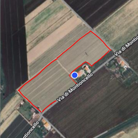 Terreno alta produttività biologico Venturina