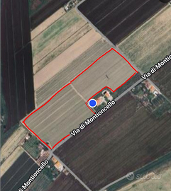 Terreno alta produttività biologico Venturina