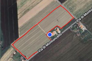 Terreno alta produttività biologico Venturina