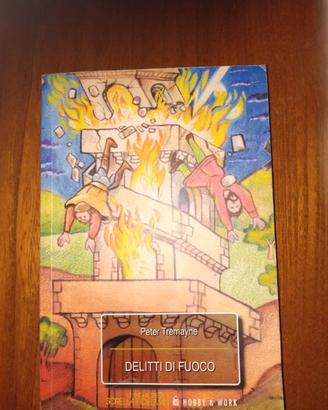 Libro DELITTI DI FUOCO