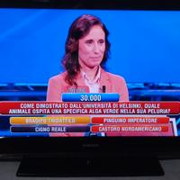 TV MONITOR LCD 40" SAMSUNG FULL HD