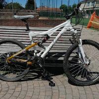 Mountain bike