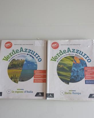 Libri di Geografia "VerdeAzzurro Vol. 1"