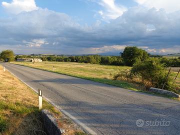 Terreno agricolo a Treia