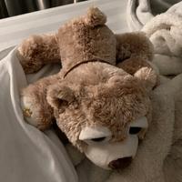 orsetto di peluche