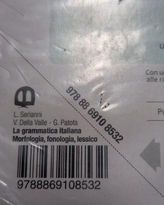 libro la grammatica italiana