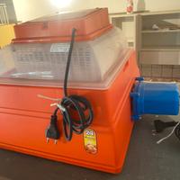 incubatrice per uova