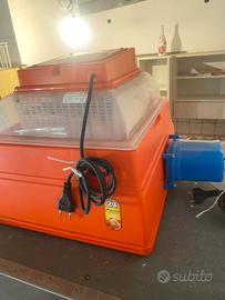 incubatrice per uova