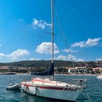 Barca a Vela Coccodrillo