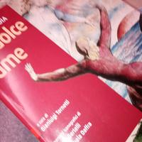 Libro di testo " Lo dolce lume" Dante Divina Comme