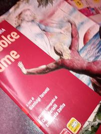 Libro di testo " Lo dolce lume" Dante Divina Comme
