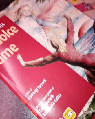 Libro di testo " Lo dolce lume" Dante Divina Comme