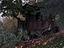 Immagine 3