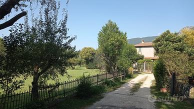 Casale bifamiliare zona Villa palma con terreno