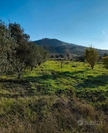CARAFFA - Terreno agricolo - Vista 3