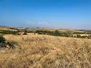 terreno-agricolo-pressi-lago-simbirizzi