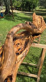 Tronco di ulivo secolare