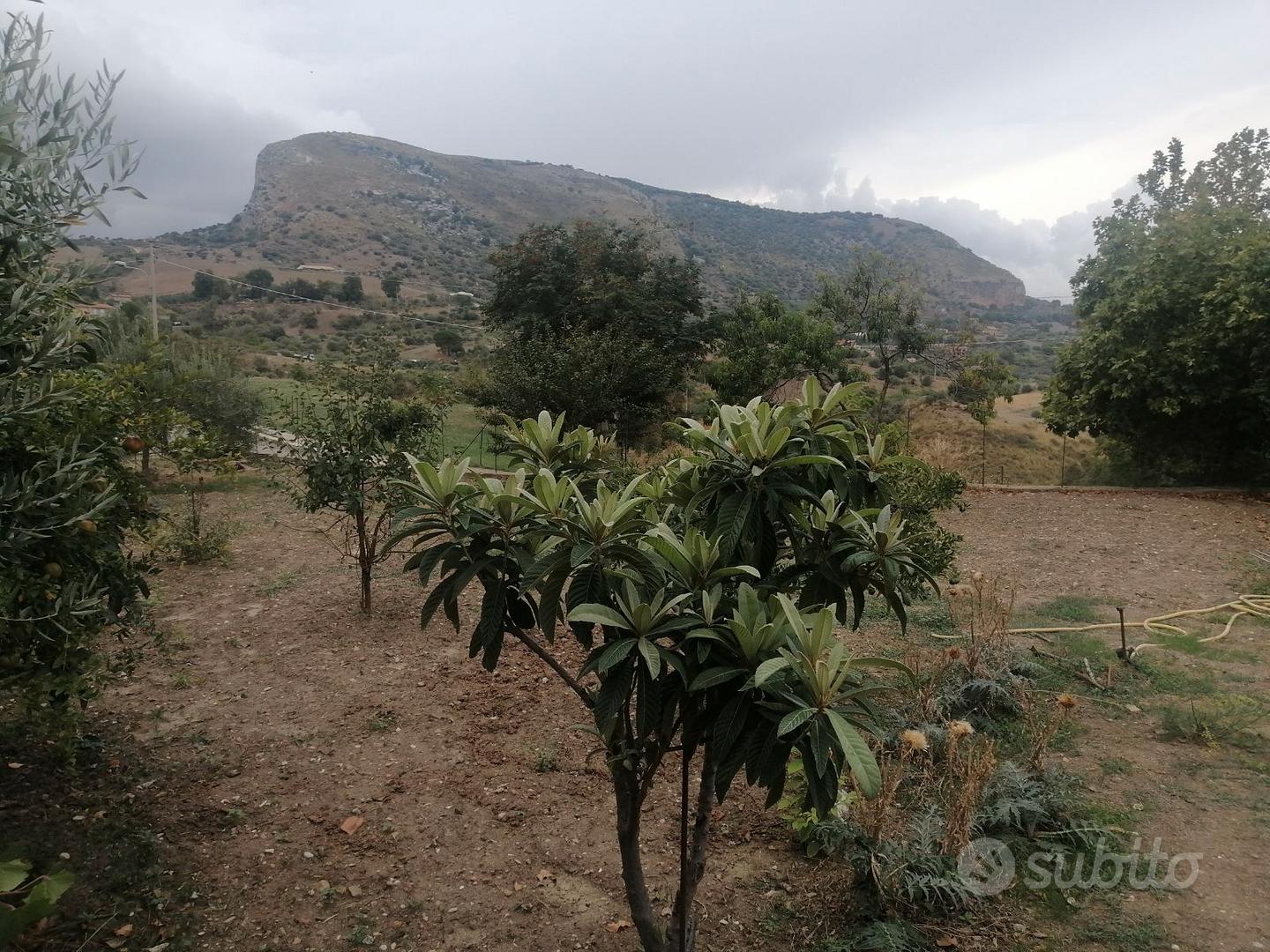 terreno con rustico - Vista 5