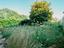 Immagine 27