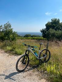 MTB  AM 100 HT taglia L