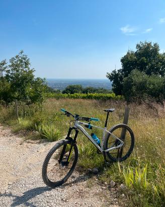 MTB  AM 100 HT taglia L
