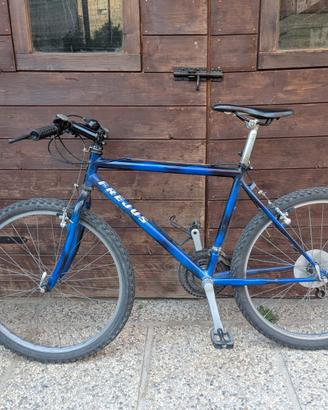 Bicicletta MTB Fejus