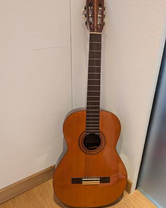 Chitarra acustica Ibanez 323