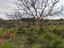 Immagine 17