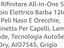 Immagine 4