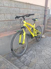 bicicletta 