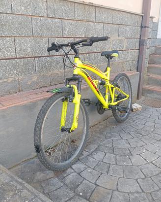bicicletta 