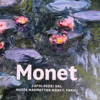 libro d'arte Monet