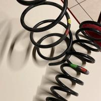 Molle Alfa Romeo 147