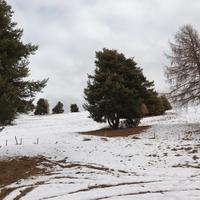 Weekend al Rifugio 35 a persona