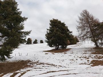 Weekend al Rifugio 35 a persona