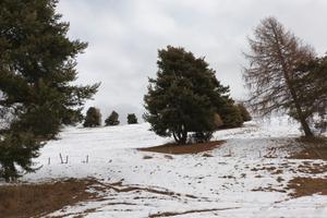 Weekend al Rifugio 35 a persona