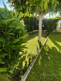 Villetta con giardino piantumato