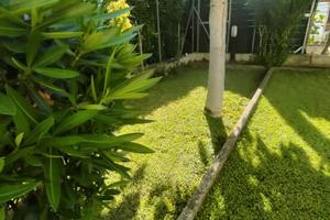 Villetta con giardino piantumato