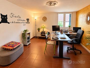 Stanza professionale - dueville (vi)