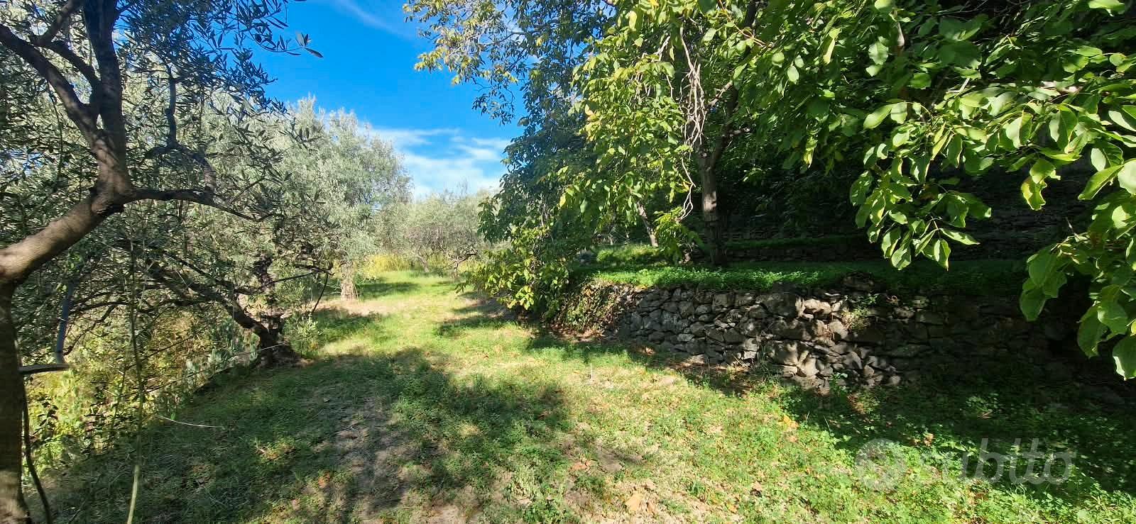 GOLE ALCANTARA terreno agricolo 1 ettaro - Vista 4