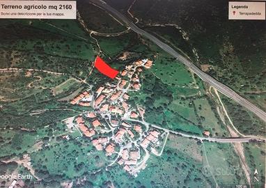 Terreno Agricolo | San Teodoro