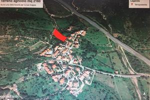 Terreno Agricolo | San Teodoro