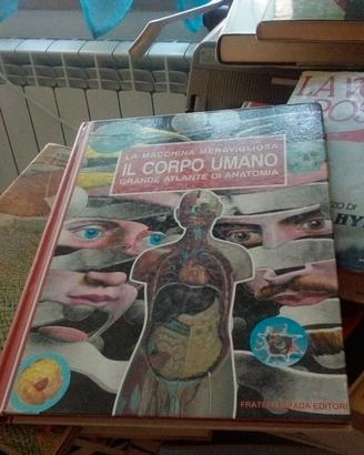 Ilcorpo umano macchina meravigliosa