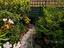 Immagine 24