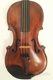 Viola
